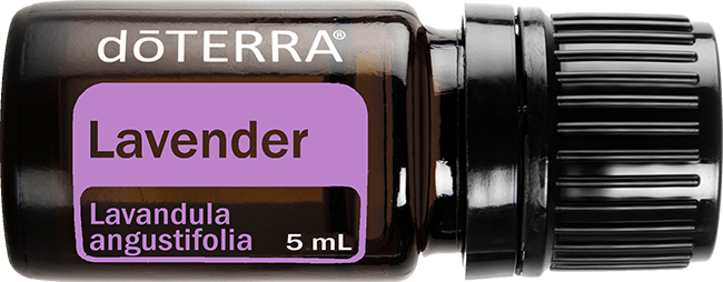 Lavender 5ml Essential Oil