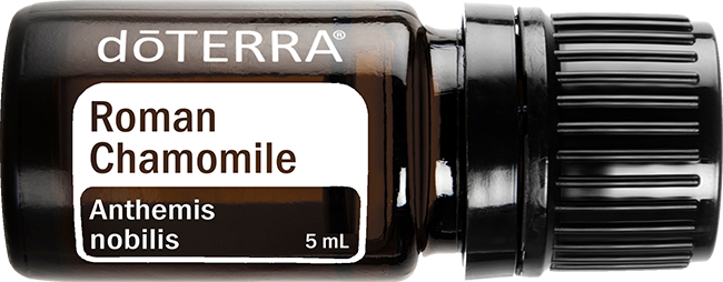 Roman Chamomile Essential Oil