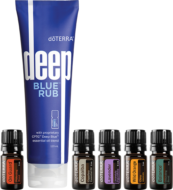 The Beginner's Essential Enrollment Kit