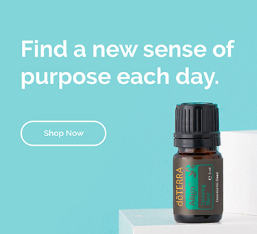 <!-- mega_menu_shop_promo_image_alt -->