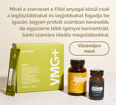 <!-- mega_menu_shop_promo_image_alt -->