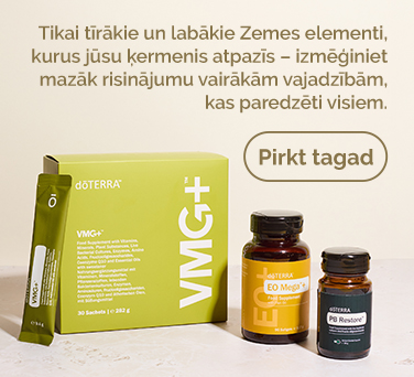 <!-- mega_menu_shop_promo_image_alt -->