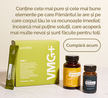 <!-- mega_menu_shop_promo_image_alt -->