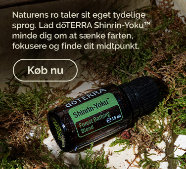 <!-- mega_menu_shop_promo_image_alt -->