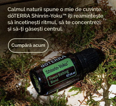 <!-- mega_menu_shop_promo_image_alt -->