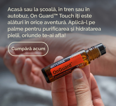 <!-- mega_menu_shop_promo_image_alt -->