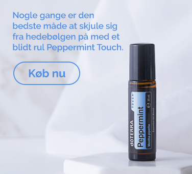 <!-- mega_menu_shop_promo_image_alt -->