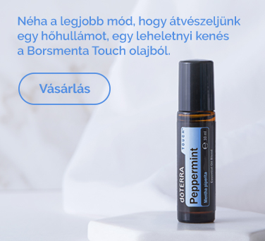 <!-- mega_menu_shop_promo_image_alt -->