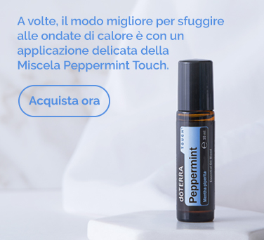 <!-- mega_menu_shop_promo_image_alt -->