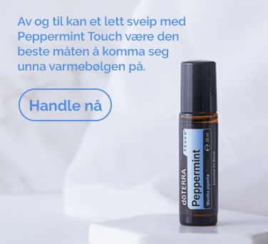 <!-- mega_menu_shop_promo_image_alt -->