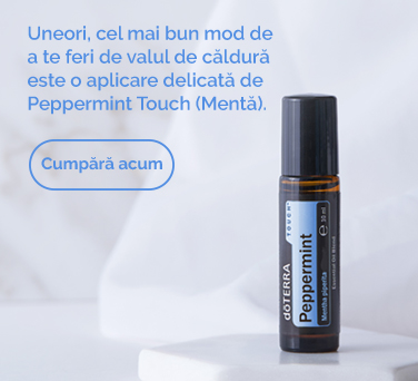 <!-- mega_menu_shop_promo_image_alt -->