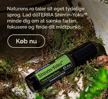 <!-- mega_menu_shop_promo_image_alt -->