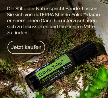 <!-- mega_menu_shop_promo_image_alt -->