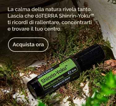 <!-- mega_menu_shop_promo_image_alt -->
