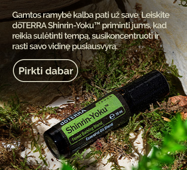 <!-- mega_menu_shop_promo_image_alt -->