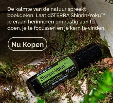 <!-- mega_menu_shop_promo_image_alt -->