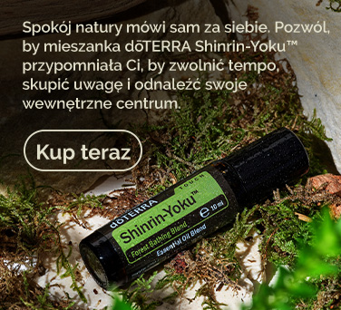 <!-- mega_menu_shop_promo_image_alt -->