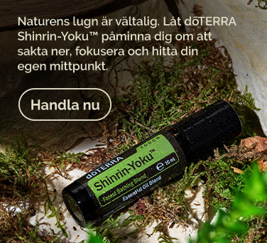 <!-- mega_menu_shop_promo_image_alt -->