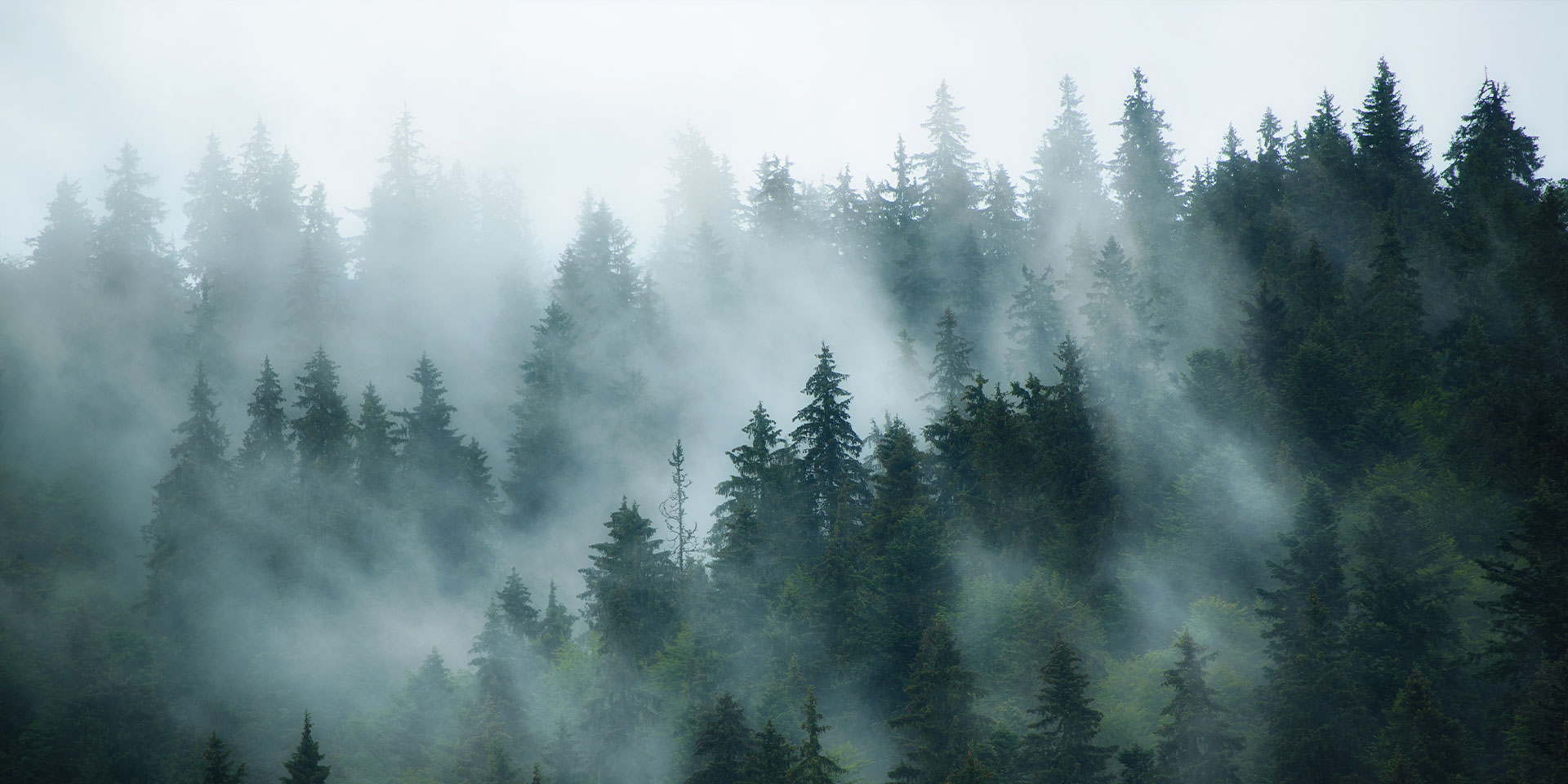 <!-- product_benefits_image_alt -->