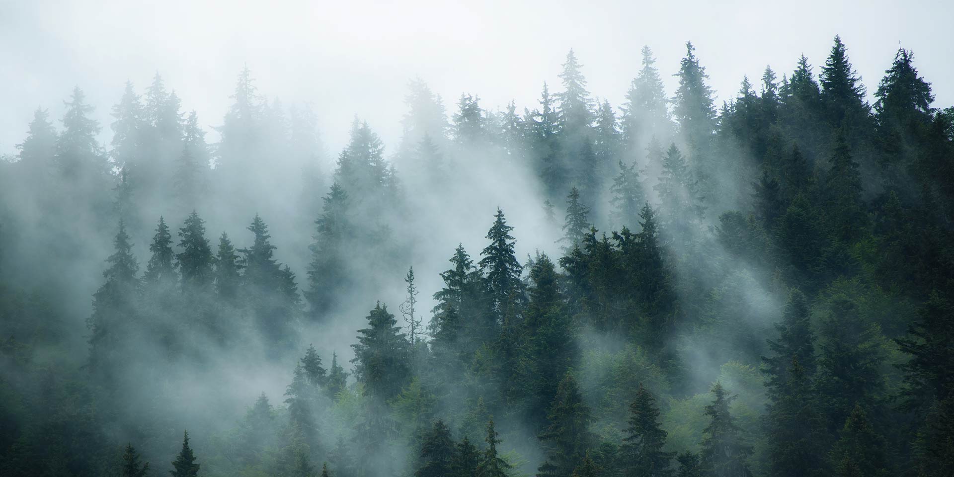 <!-- product_benefits_image_alt -->