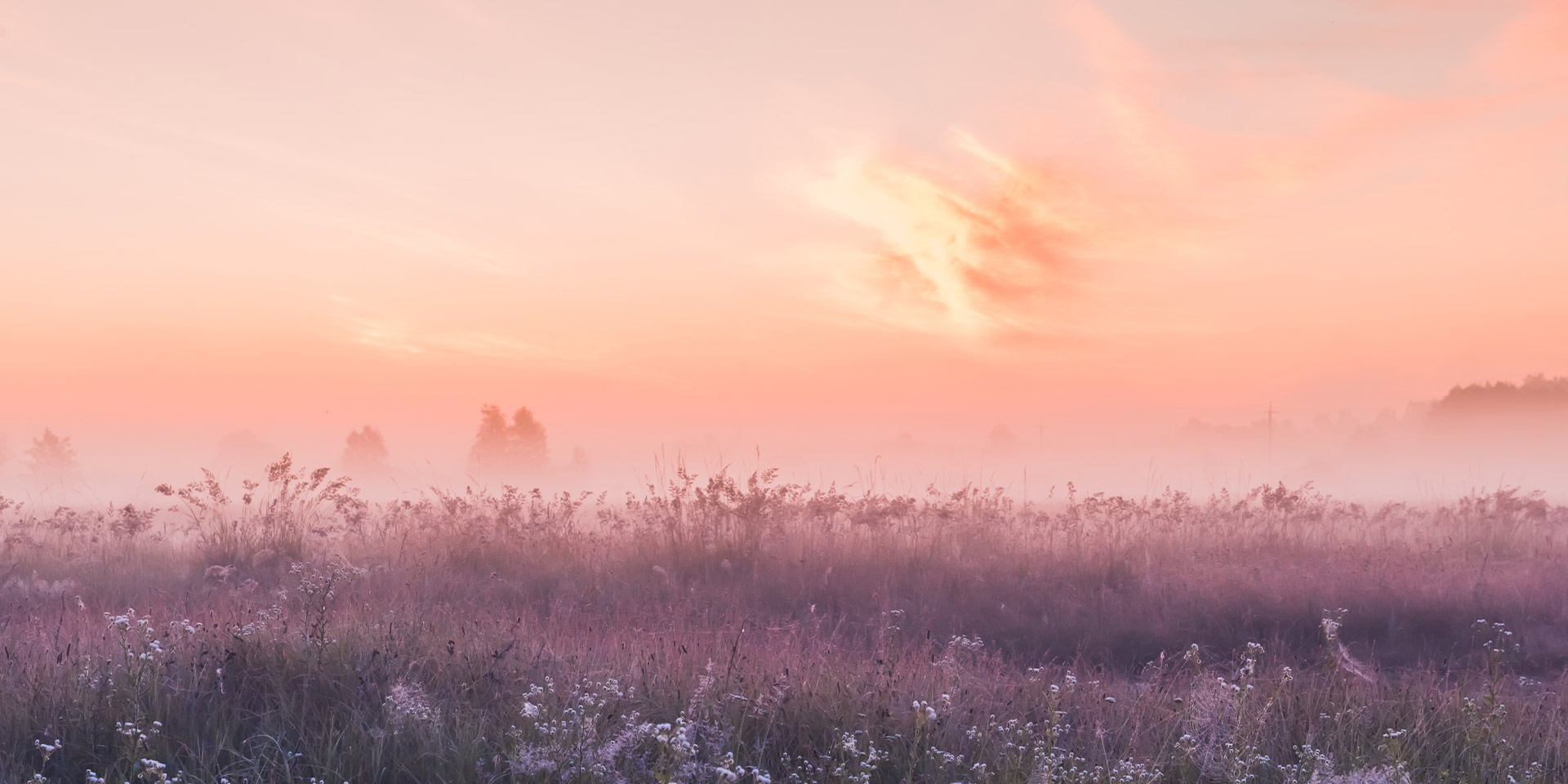 <!-- product_benefits_image_alt -->