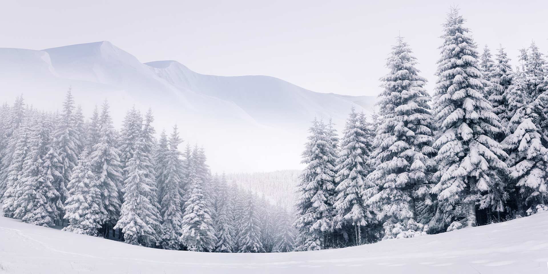 <!-- product_benefits_image_alt -->