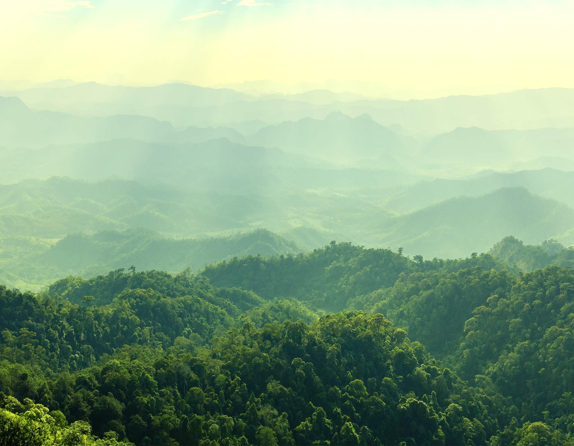 <!-- product_uses_image_alt -->