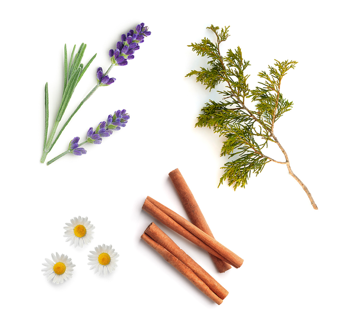 doTERRA Serenity Bath Bar