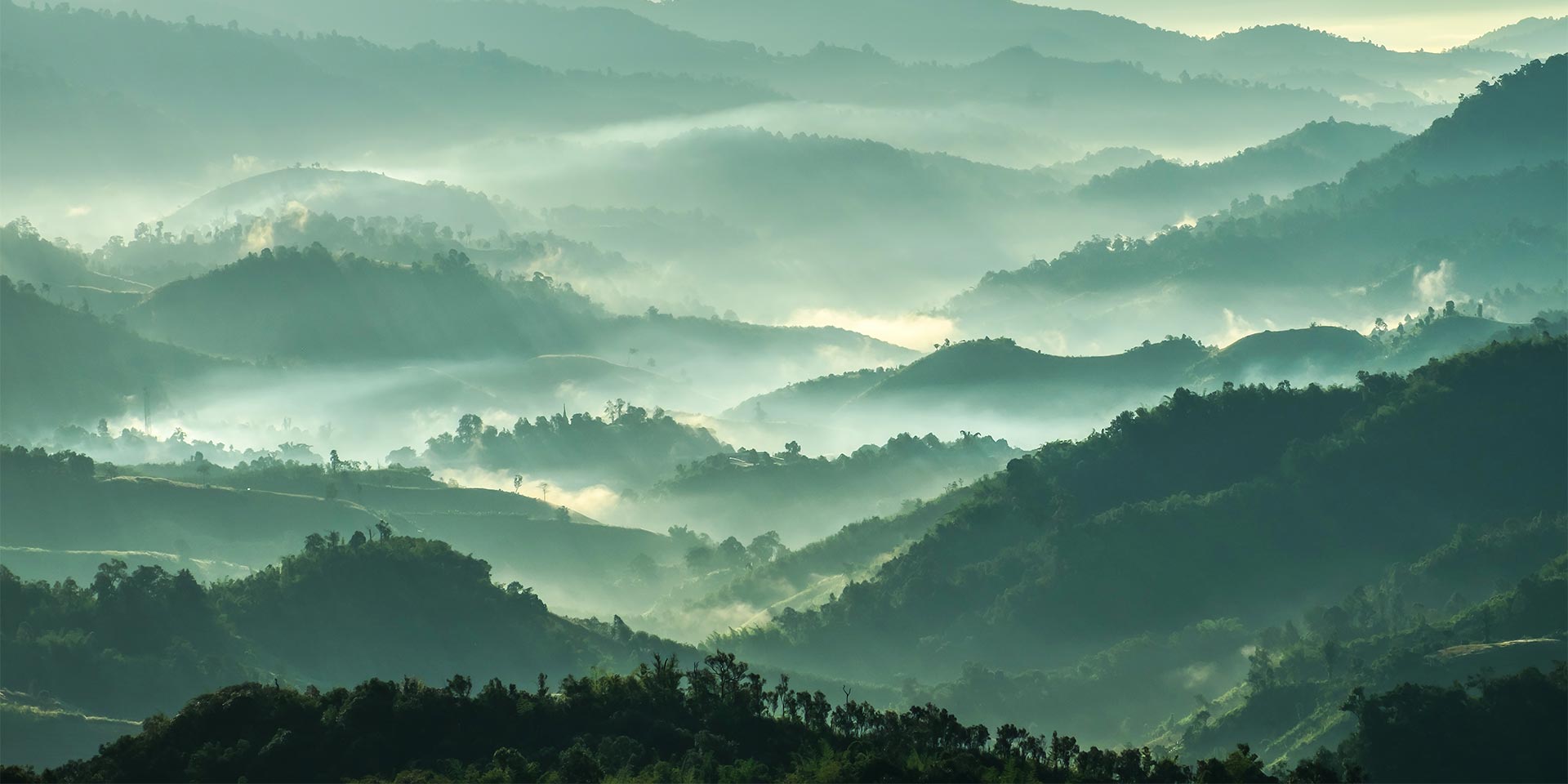 <!-- product_benefits_image_alt -->