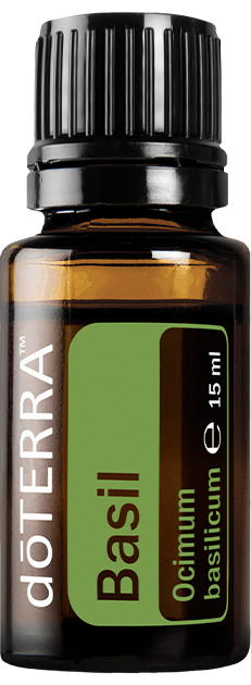 Basil Oil