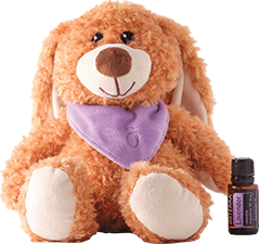 Wellie-Bellies Warm-Up Soft Toy Rabbit & Lavender