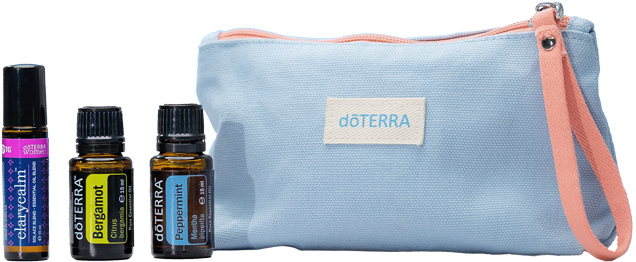 springs exclusives kit