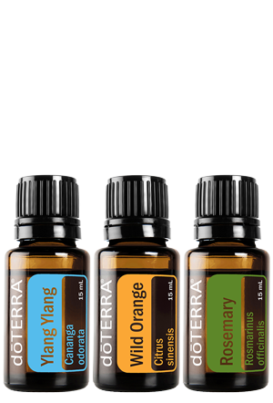 <!-- sub_category_image_alt -->