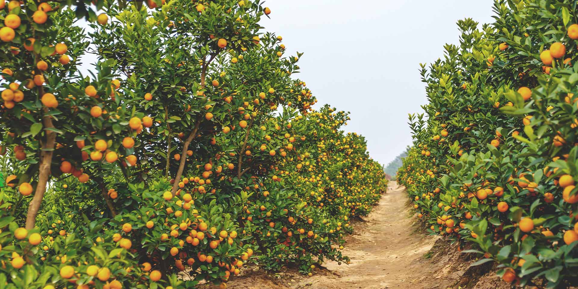 <!-- product_benefits_image_alt -->