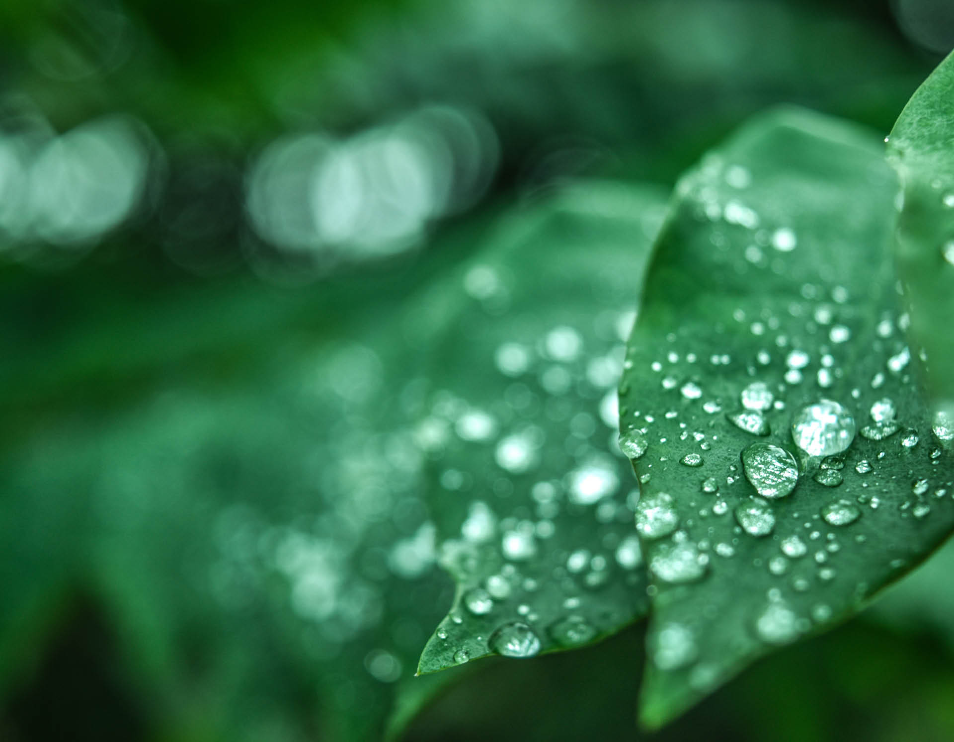 <!-- product_benefits_image_alt -->