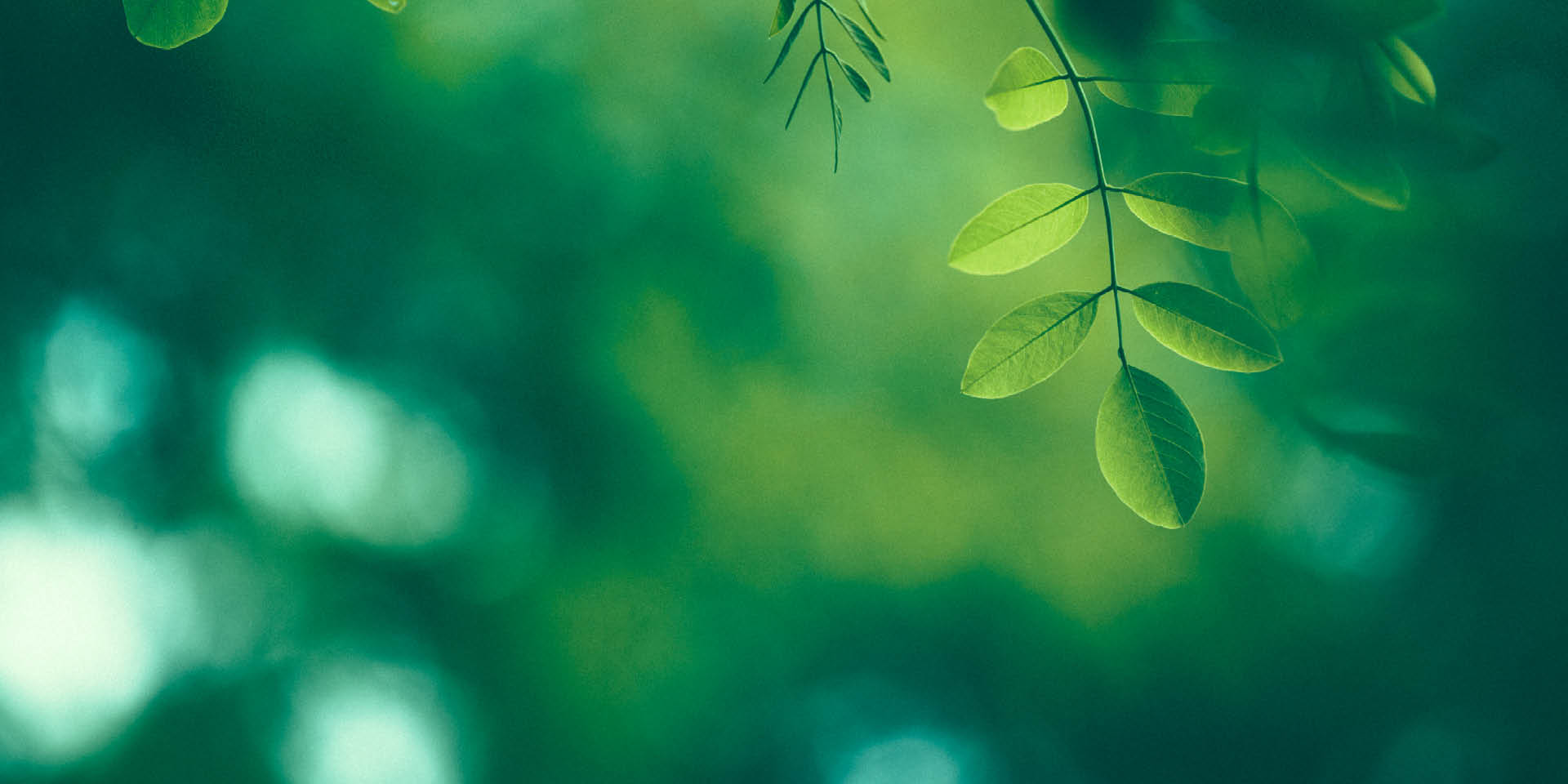 <!-- product_benefits_image_alt -->