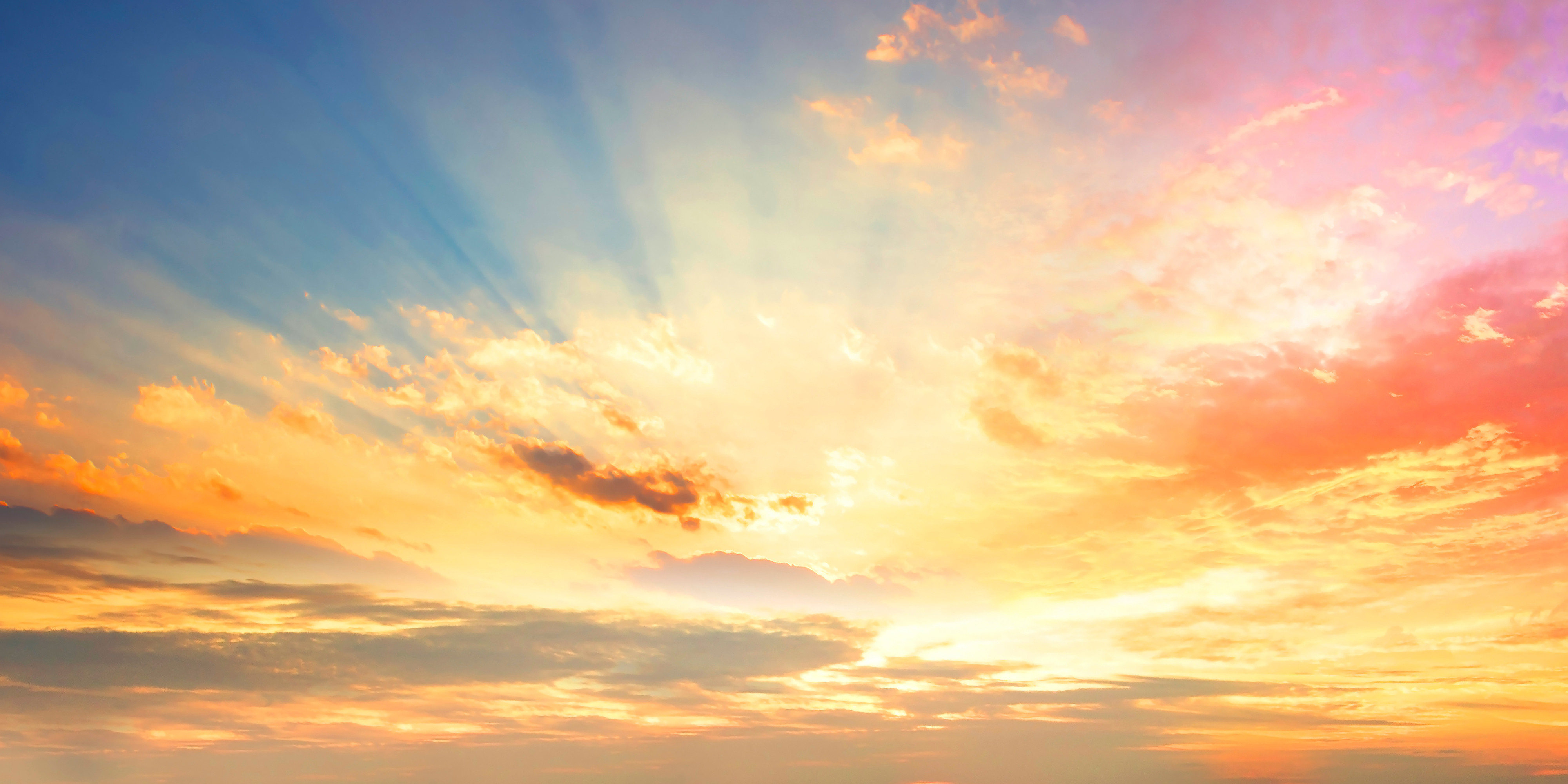 <!-- product_benefits_image_alt -->