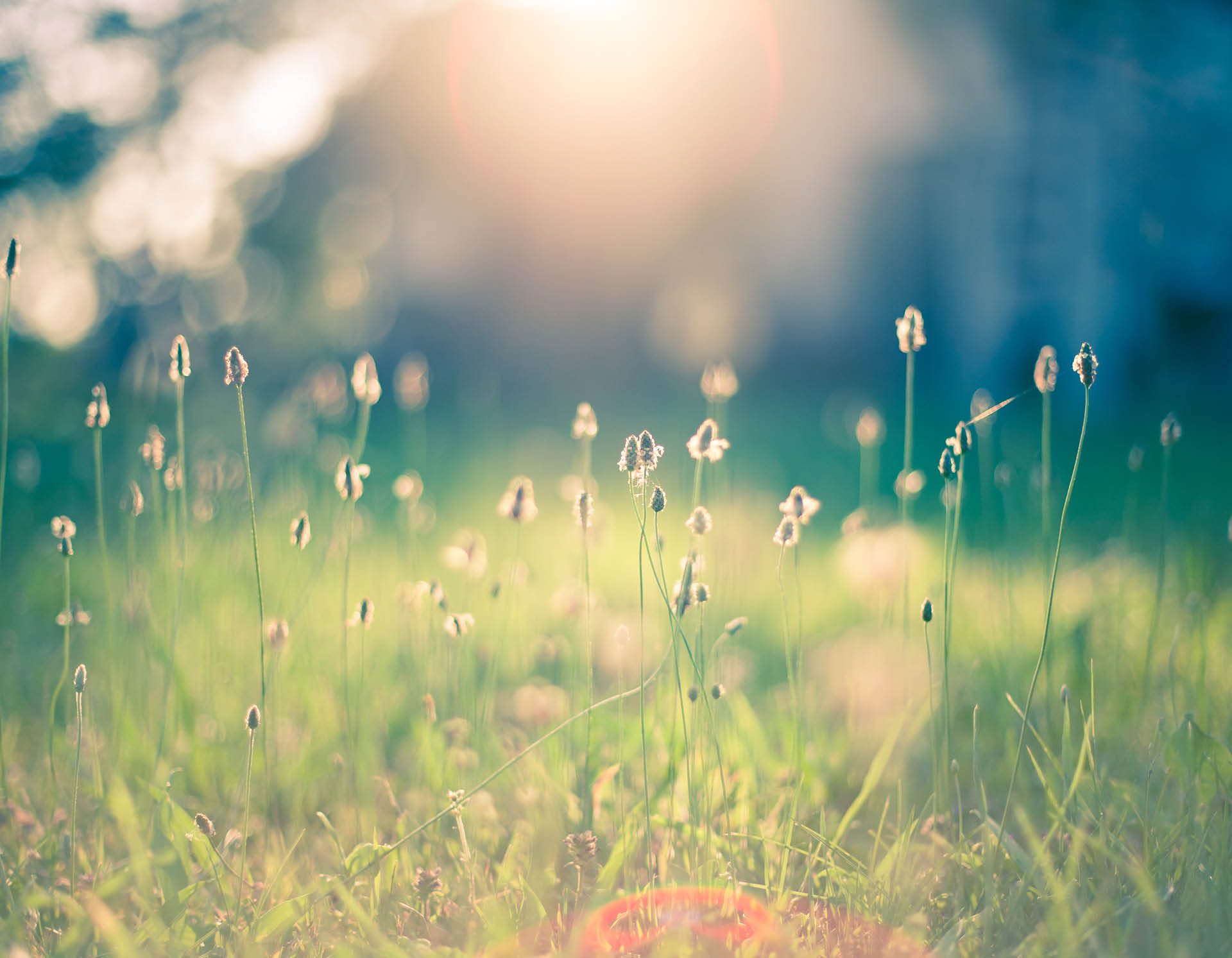 <!-- product_uses_image_alt -->