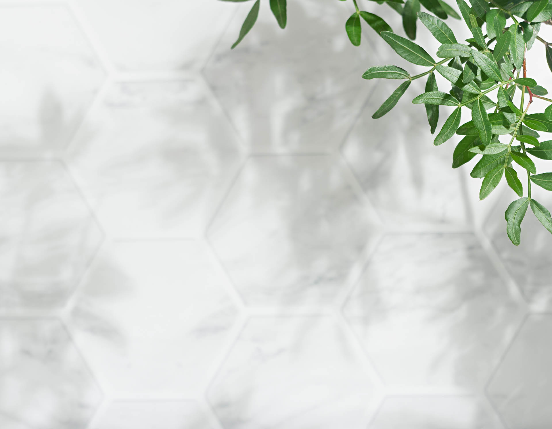 <!-- product_uses_image_alt -->