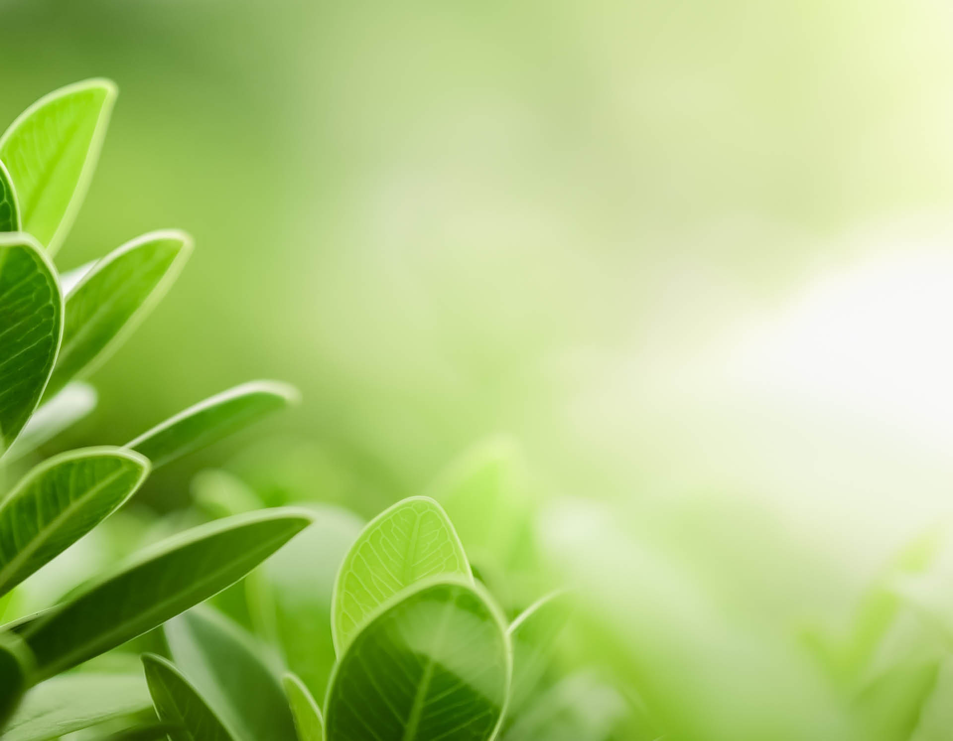 <!-- product_uses_image_alt -->