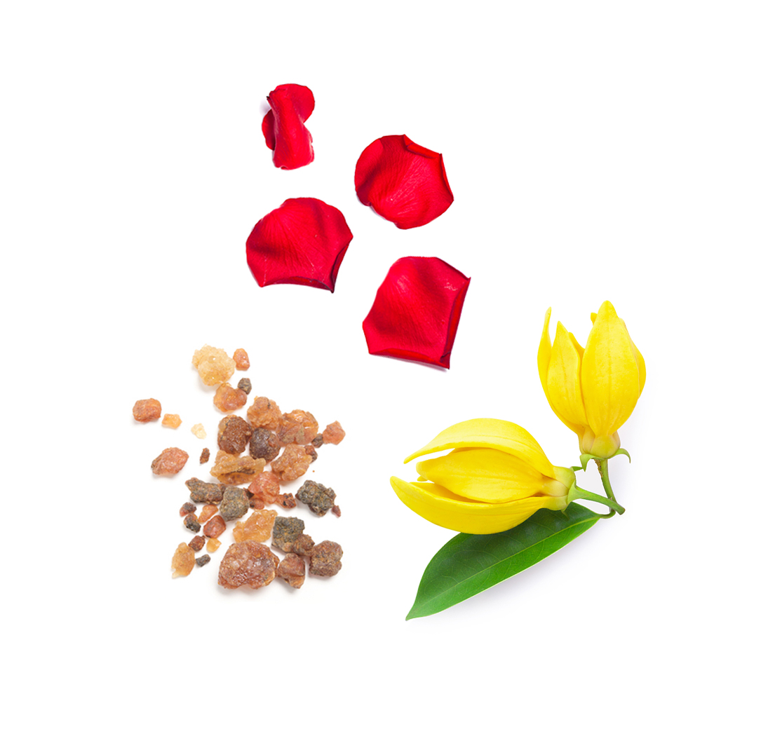 Console What's Inside