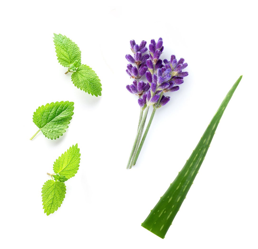 Dry Shampoo Ingredients