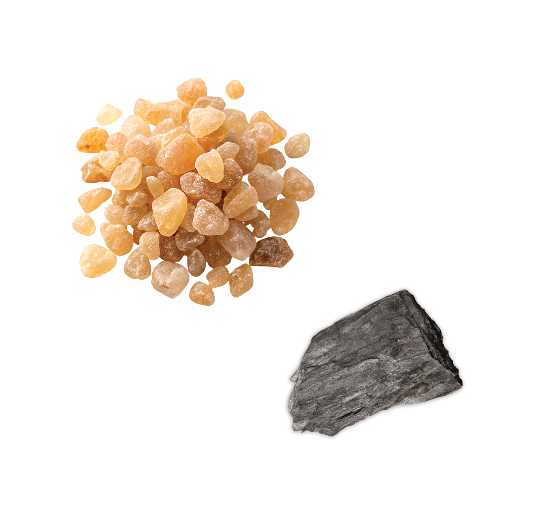 IKISE Dual Serum Ingredients