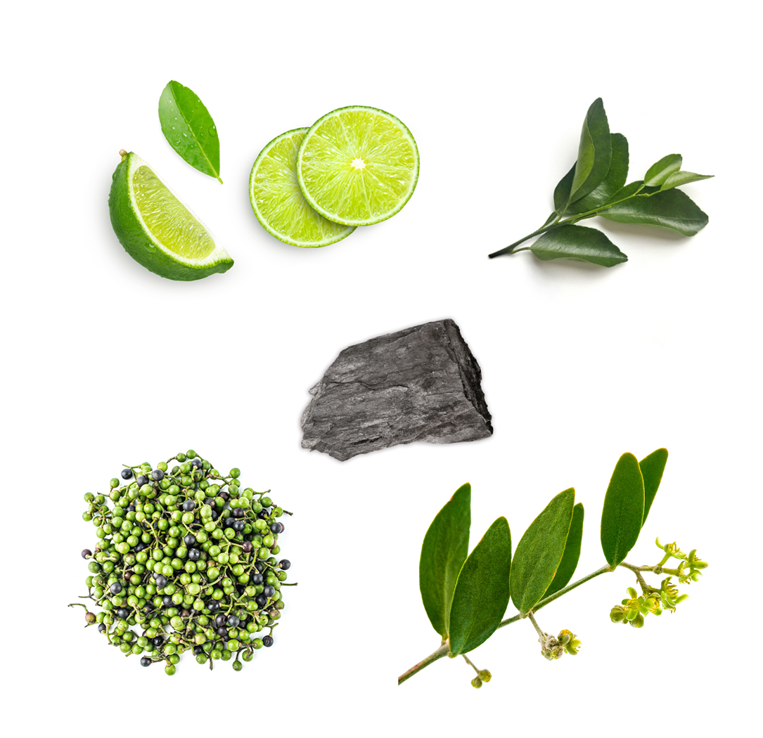 IKISE Face Wash Ingredients