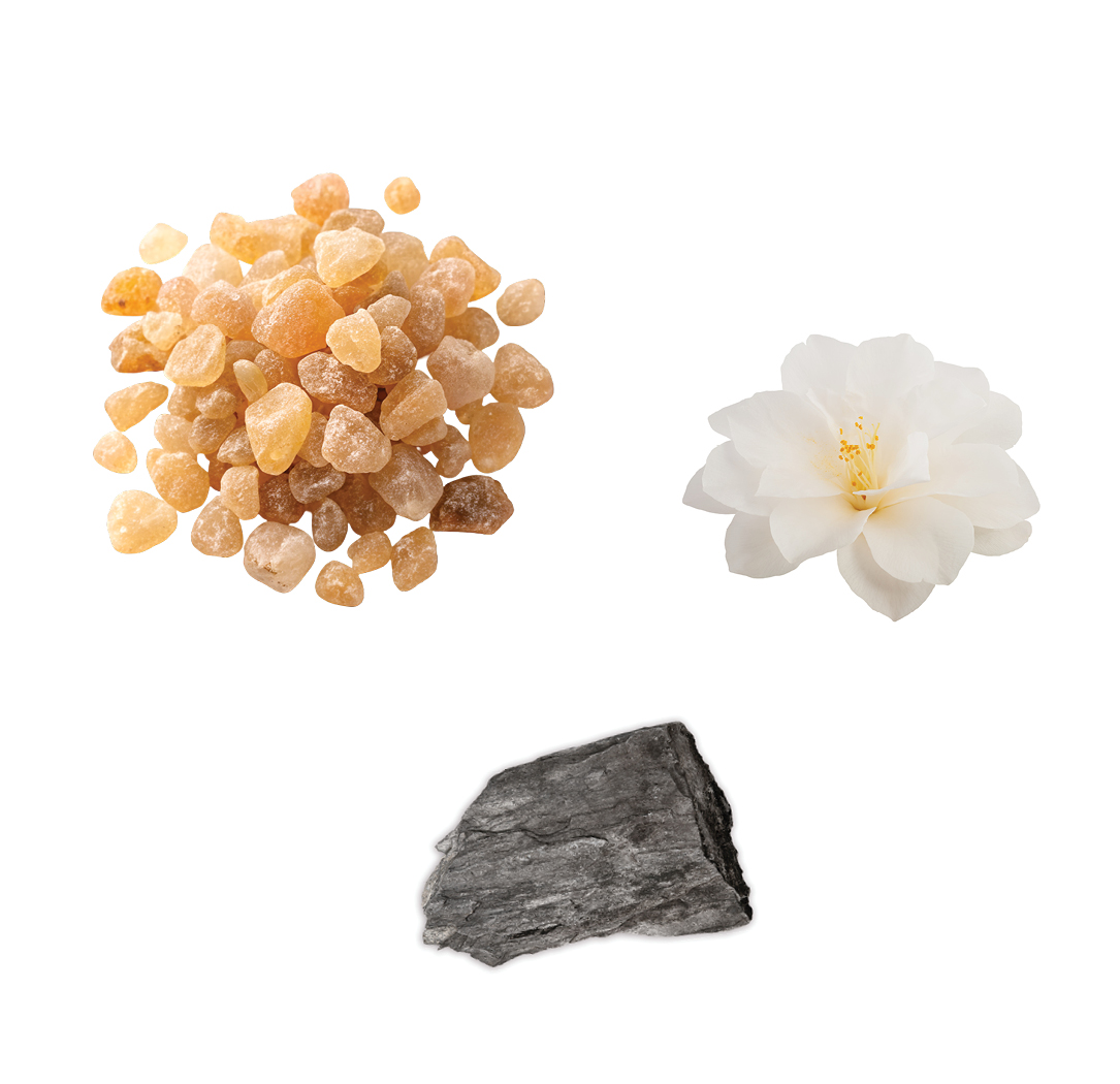 IKISE Lotion Ingredients