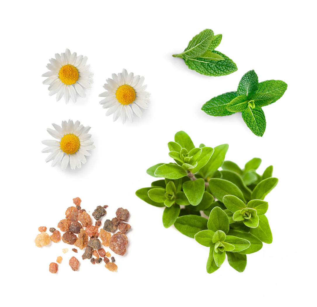 past-tense-botanicals