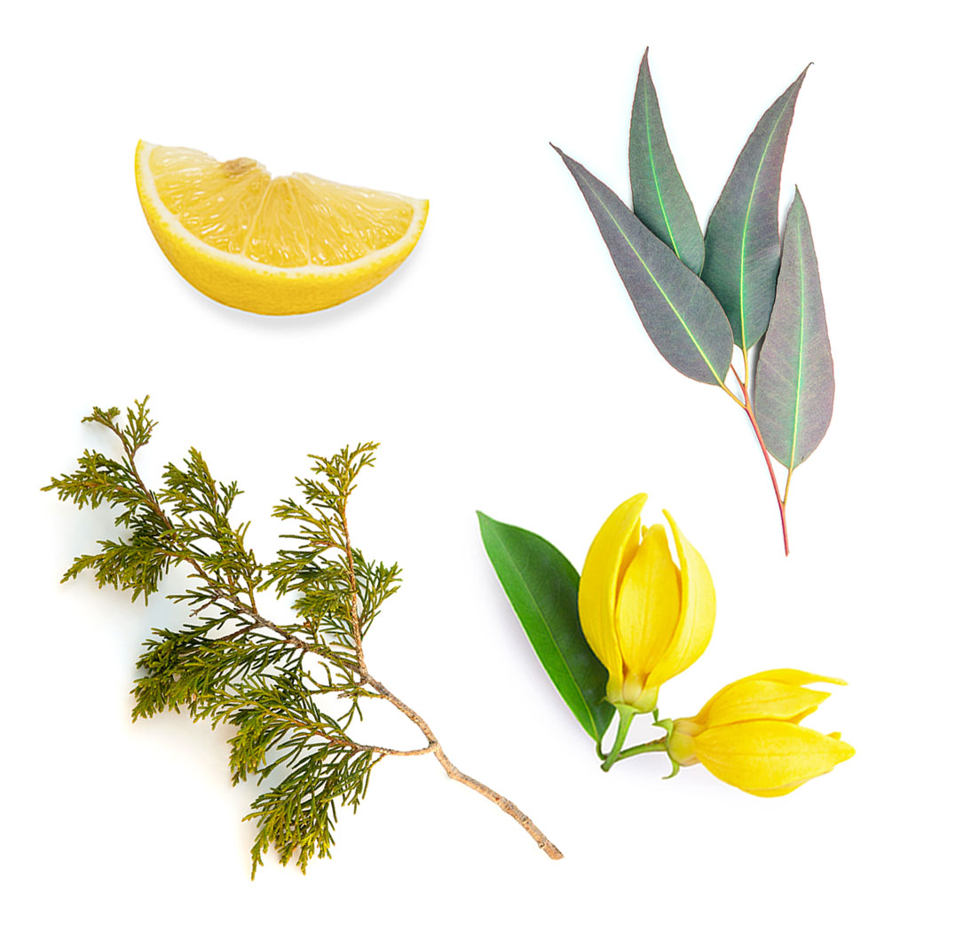 terrashield what's inside botanical image