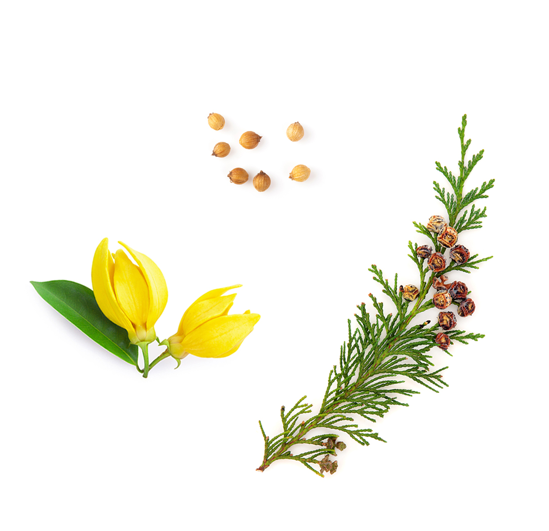 Verage Toner Botanical image