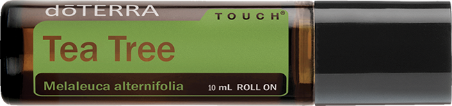 Tea Tree (Melaleuca) Touch