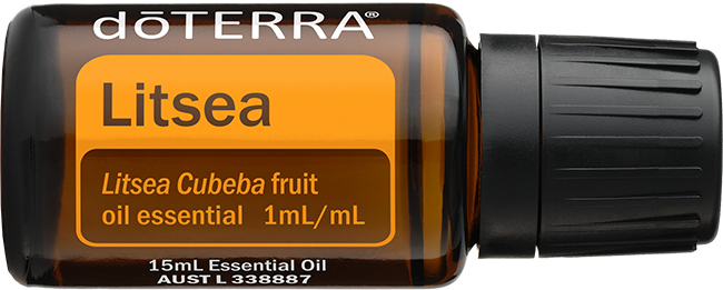 Litsea Oil